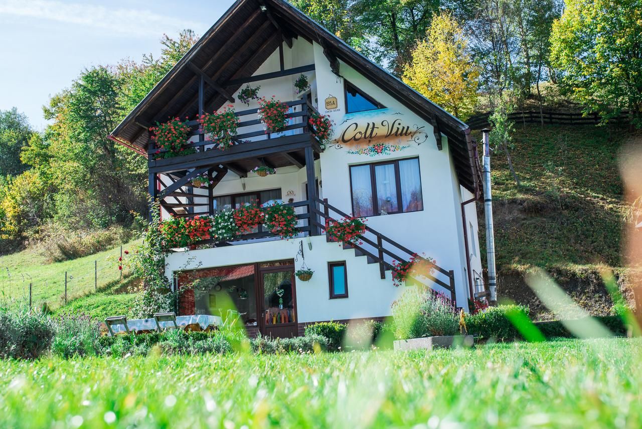 Дома для отпуска Casa Colț Viu Бран-14