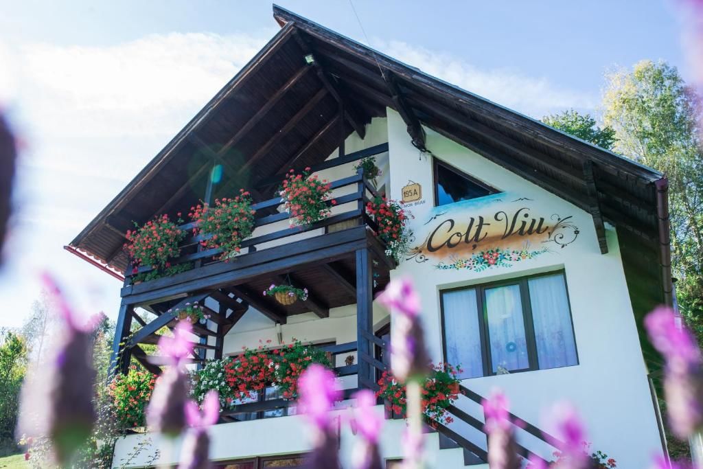 Дома для отпуска Casa Colț Viu Бран-61