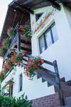 Дома для отпуска Casa Colț Viu Бран-1