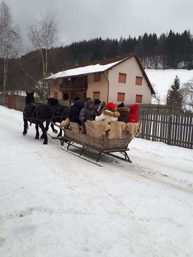 Дома для отпуска Casa Colț Viu Бран-35